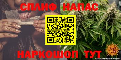 ешки Нарткала
