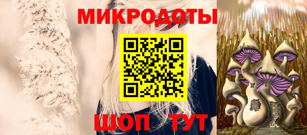Чистополь  Галлюциногенные грибы Psilocybine cubensis  Вход с VPN 