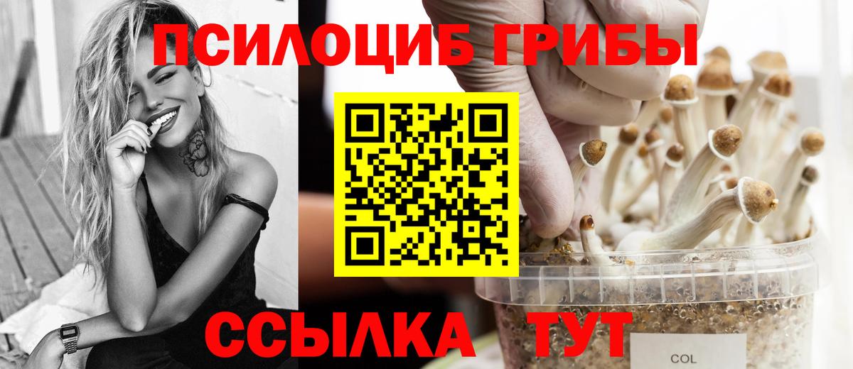 Галлюциногенные грибы Magic Shrooms Чистополь